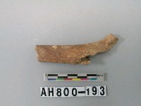 藏品(獸骨殘骸)的圖片